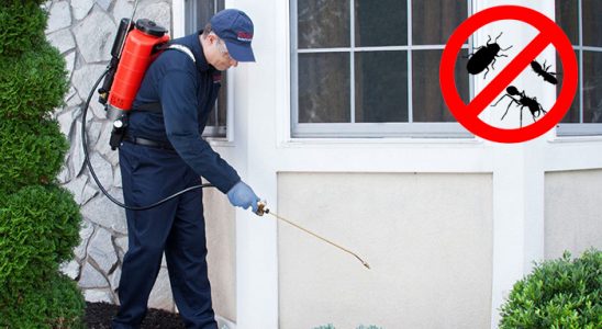Mudanya Gümüşkurt İlaçlama böcek ilaçlama ve haşere kontrolü — ilaclama-tr.com